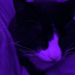 Meet your Posher, Maeze